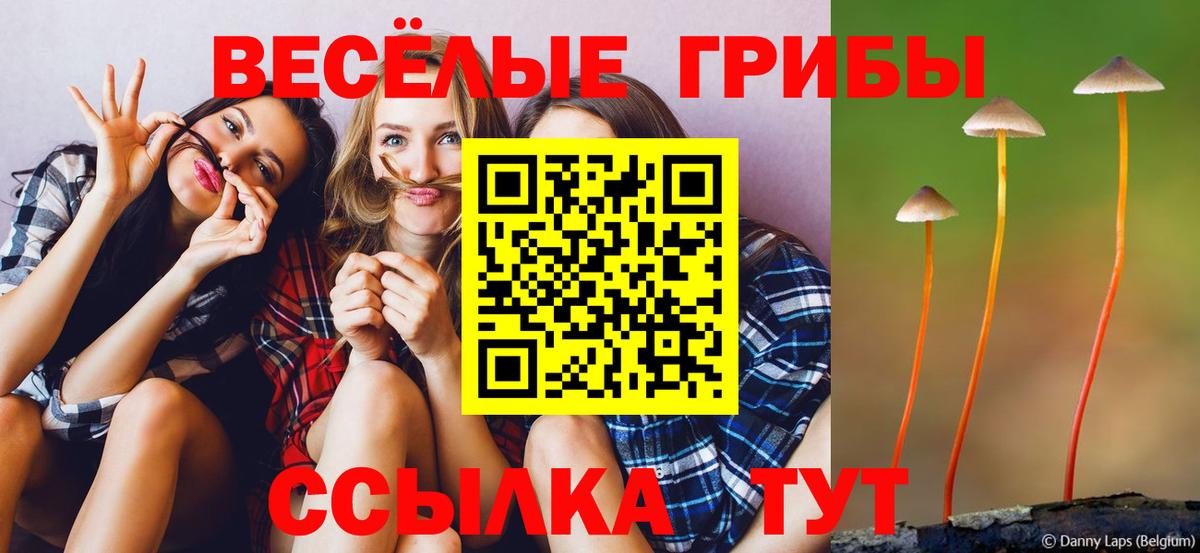 Псилоцибиновые грибы MAGIC MUSHROOMS Нарткала